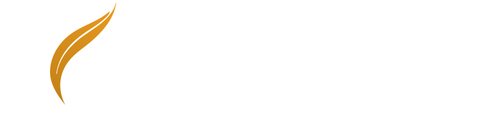 European Author House